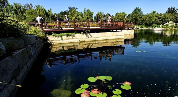 圆明园&ldquo;廓然大公&rdquo;景区水生态修复工程完工