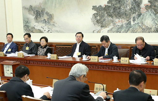 张德江参加全国人大常委会分组审议
