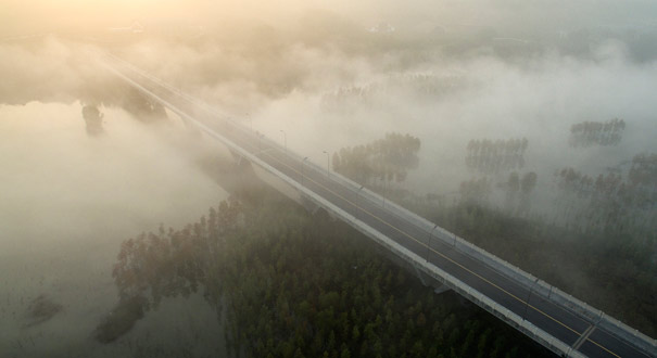 全国多地出现大雾