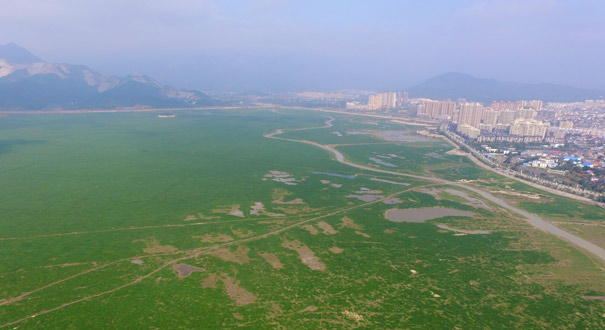 鄱阳湖变身“大草原”——直击低水位下的我国最大淡水湖