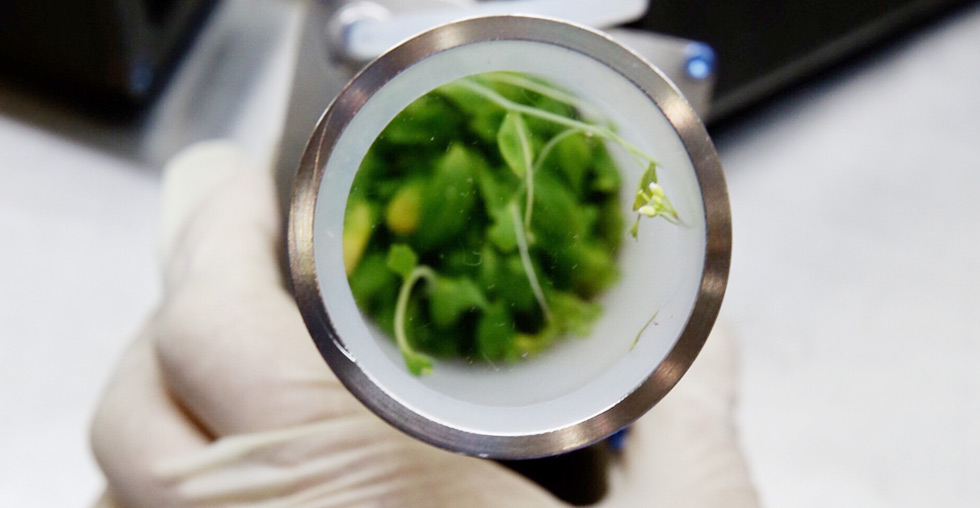 神舟十一号飞船返回舱相关实验装置及样品顺利回收