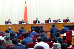 汪洋出席国务院第三次全国农业普查电视电话会议