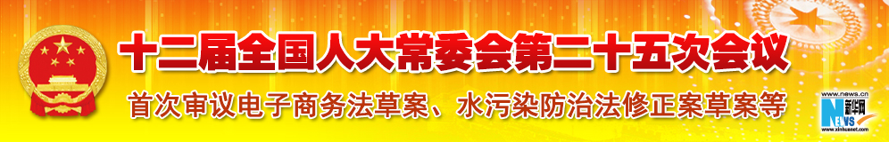 十二届全国人大常委会第二十五次会议