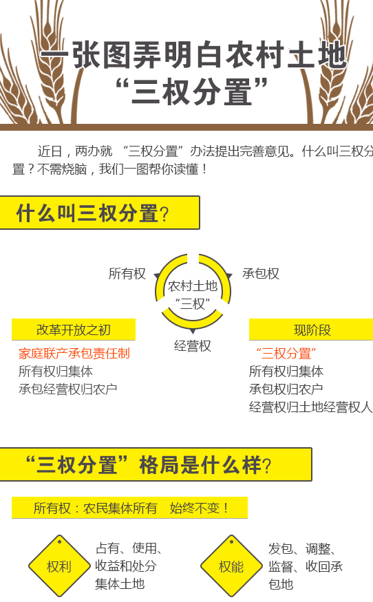 图看农村土地三权分置 - 山里愚夫 - 政治老帅