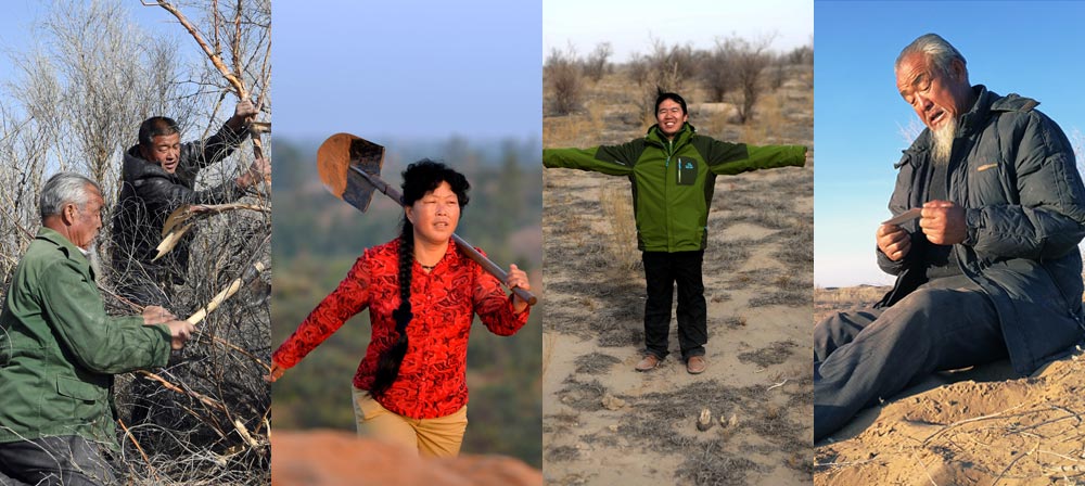 与黄沙掰手腕的人&mdash;&mdash;中国草根治沙人物群像