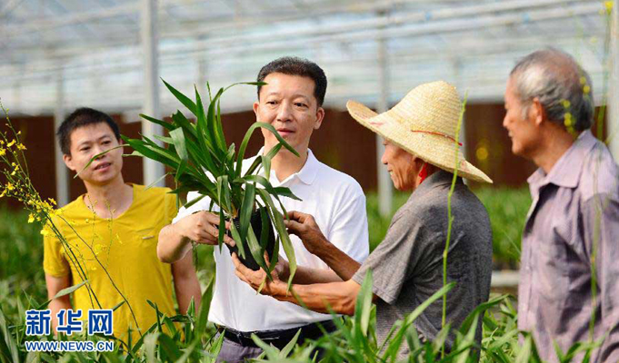 记福建省政和县县委书记廖俊波