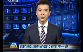 农民随叫随到的畜牧专家王一成