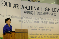 刘延东出席中国南非高端思想对话会开幕式