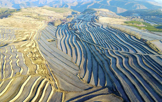 河北围场旱作梯田美如画