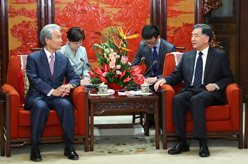 汪洋会见日本客人