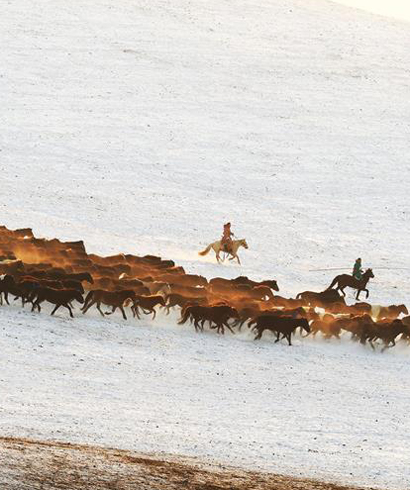 中国马都—锡林郭勒2017冰雪那达慕