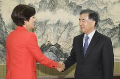 汪洋会见美国客人