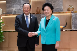 刘延东会见老挝副总理宋赛