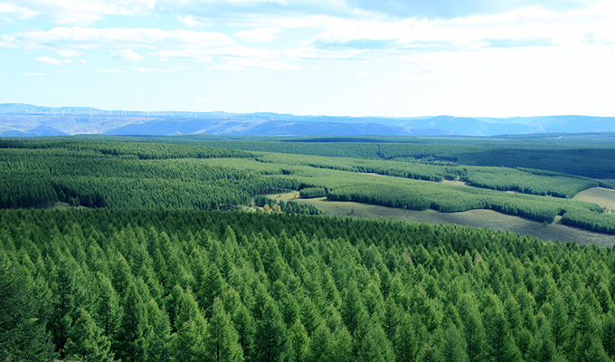 变沙地为林海 让荒原成绿洲——塞罕坝影像