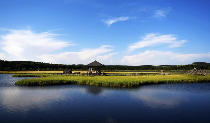 从一棵树到一片“海”——塞罕坝生态文明建设范例启示录