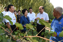 孙春兰率中央代表团三分团赴内蒙古乌海、阿拉善看望各族干部群众