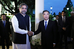 巴基斯坦总理阿巴西会见汪洋