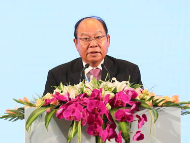 柬埔寨卫生部部长曼•本亨发言