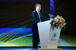 汪洋出席2017欧亚经济论坛并发表演讲