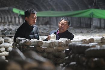 “第一书记”房瑞标：吕梁乡亲“最亲近的人”