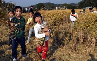 江西：贡米之乡庆丰收