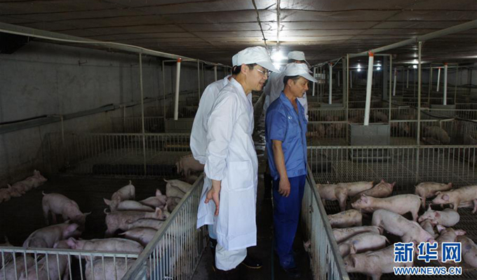 王一成带领学生在基层养猪场考察