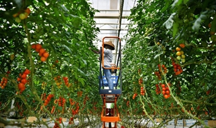 科技助力海南現代農業發展
