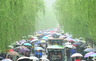 杭州：清明时节雨纷纷 西湖游客雨中游