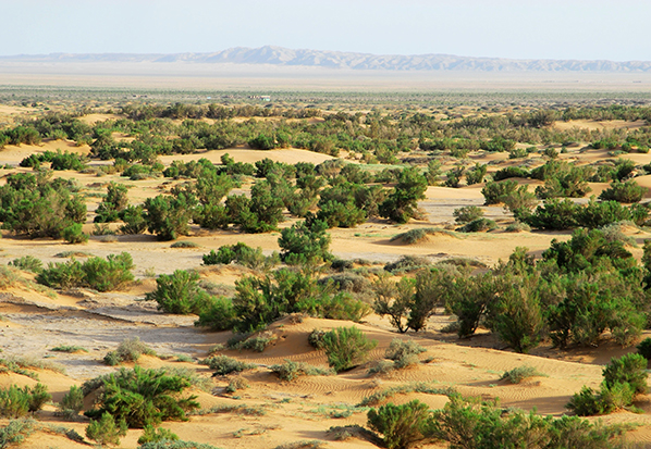 【长篇通讯】塞罕坝,京城绿色屏障的前世今生
