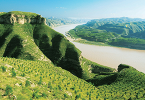 张建龙:“三北工程”实现生态、经济、社会效益“多赢”