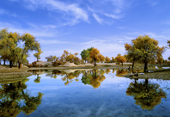 张建龙:推进国土绿化 扮靓绿水青山