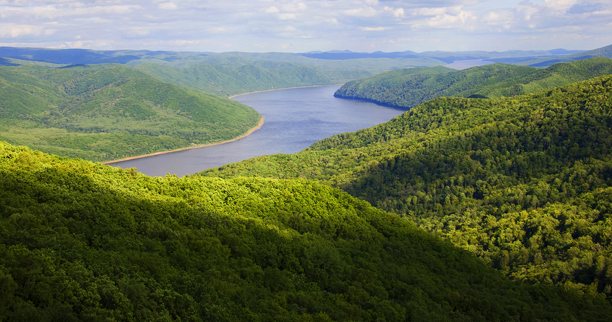 张建龙:“三北工程”实现生态、经济、社会效益“多赢”