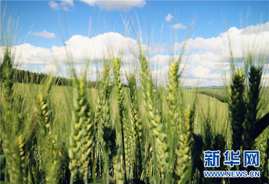 保护农业农村生态环境 建生态宜居美丽家园