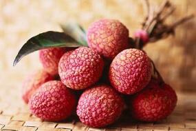 给“荔”就现在