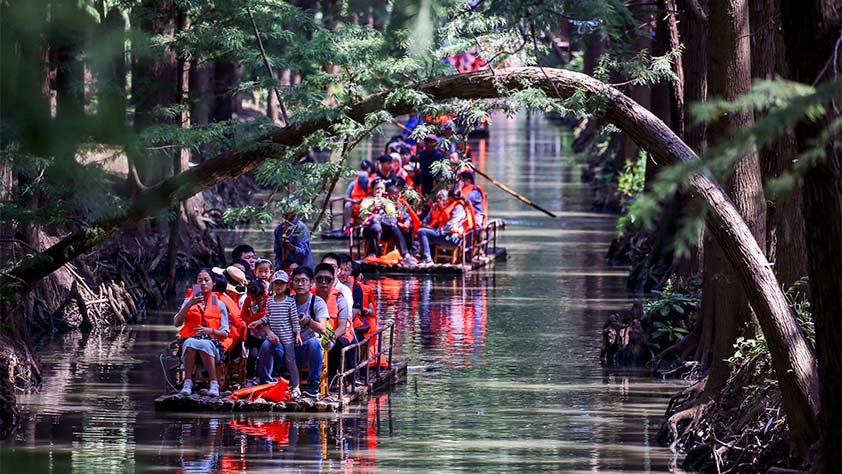 国庆假期前4天全国接待国内游客5.02亿人次