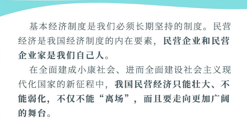 关于民营企业发展 习近平这样说