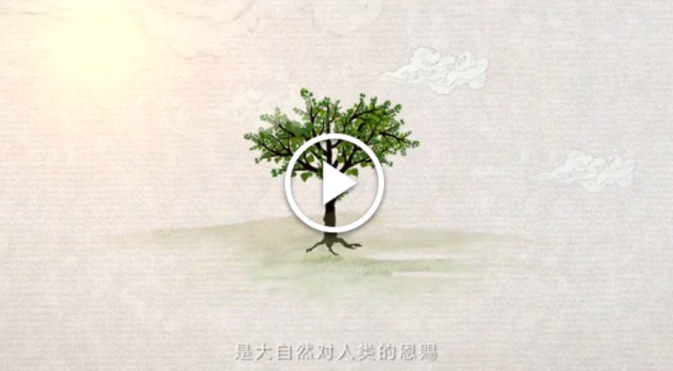 绿色发展：书写在中国大地上的美丽画卷