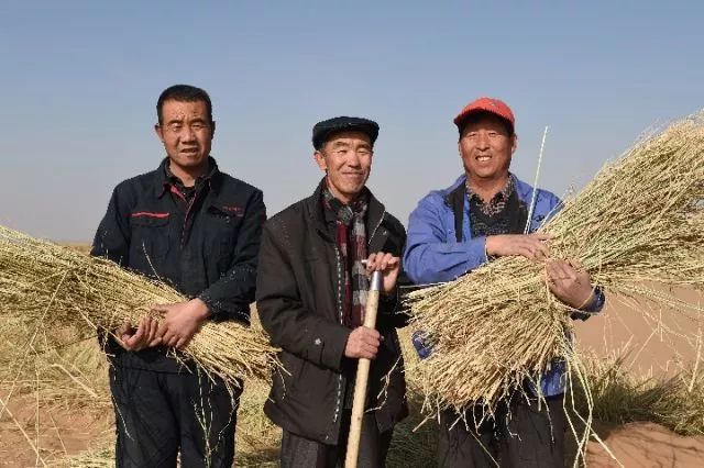 甘肃省委省政府表彰古浪县八步沙林场“六老汉”三代人