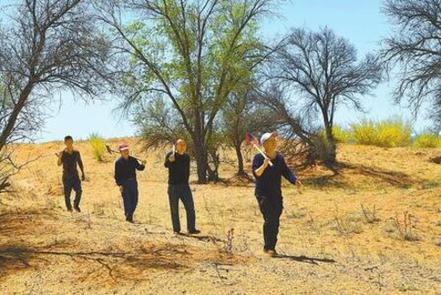 八步沙，绿色何以永驻？