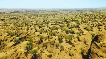 “甘做世代护林郎”六老汉和六兄弟