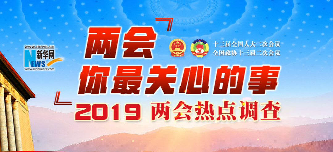 2019两会热点调查