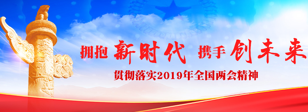 贯彻落实2019年全国两会精神