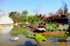 从妫水河到白洋淀 见证同一个绿色梦想