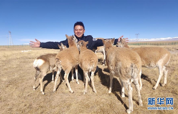 藏族巡山队员龙周才加:把青春留在可可西里