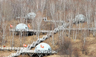 内蒙古阿尔山市:多元业态激活全域旅游