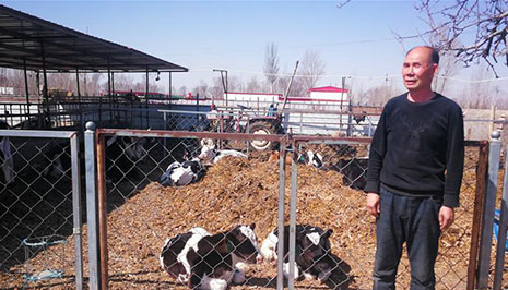 抓心劲儿,增后劲儿——内蒙古产业扶贫见闻