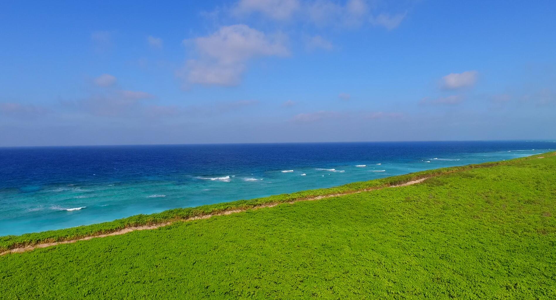海南园 植物园 生态园
