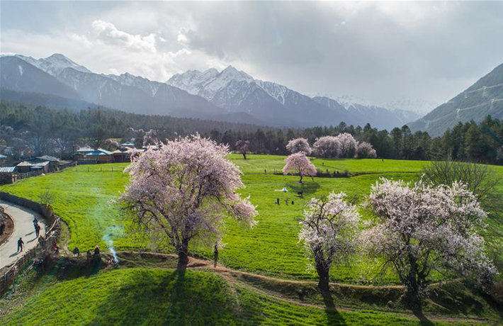 生态中国·醉美西藏高原情