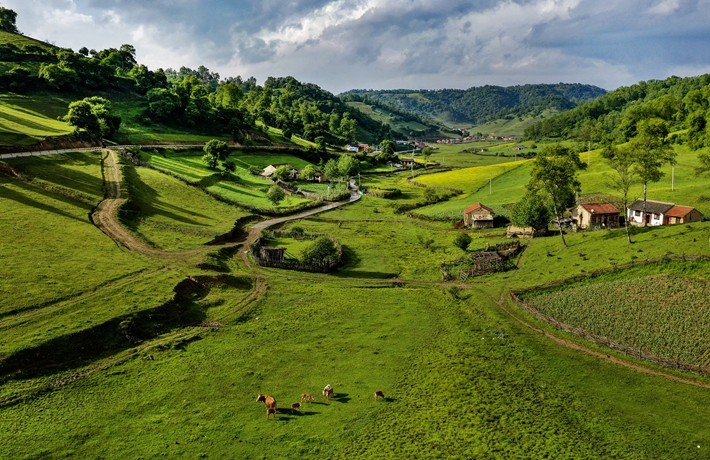 生态中国·拥青揽翠三秦俊
