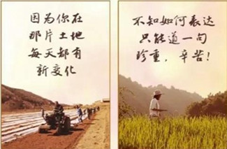 【H5】致奋斗在脱贫战场上的你